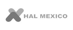 04-Hal